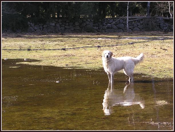 Foto - Carl Gustaf Olofsson - 4 april 2006