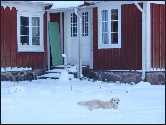 Foto - Carl Gustaf Olofsson - 14 februari 2009