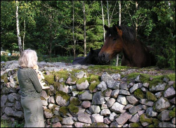 Foto - Carl Gustaf Olofsson - 11 sept 2005